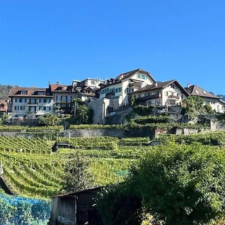 La Vigneronne, Tuin Сasa de vacaciones