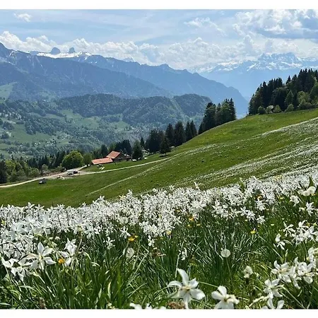Сasa de vacaciones La Vigneronne, Tuin *