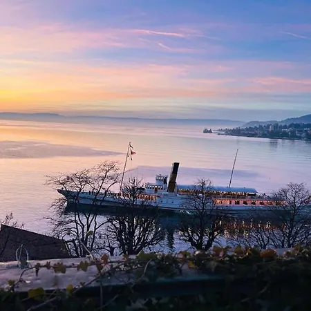 La Vigneronne, Tuin Hébergement de vacances Blonay