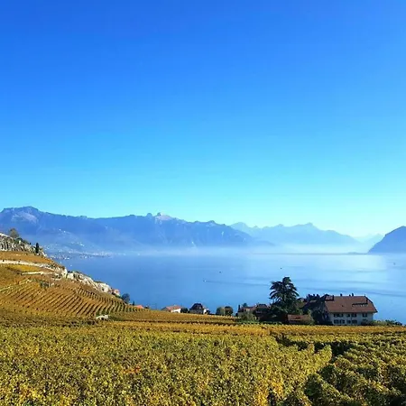 La Vigneronne, Tuin * Blonay