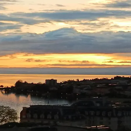 Hébergement de vacances La Vigneronne, Tuin *
