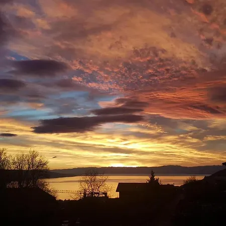 La Vigneronne, Tuin *