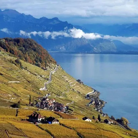 La Vigneronne, Tuin Blonay