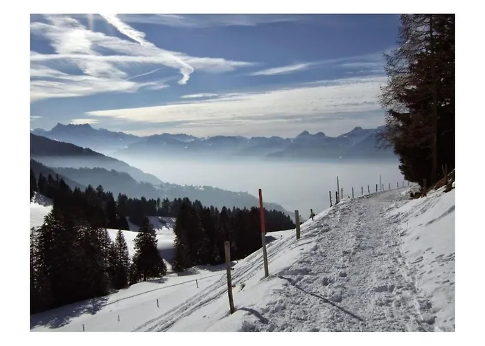Dom wakacyjny La Vigneronne, Tuin