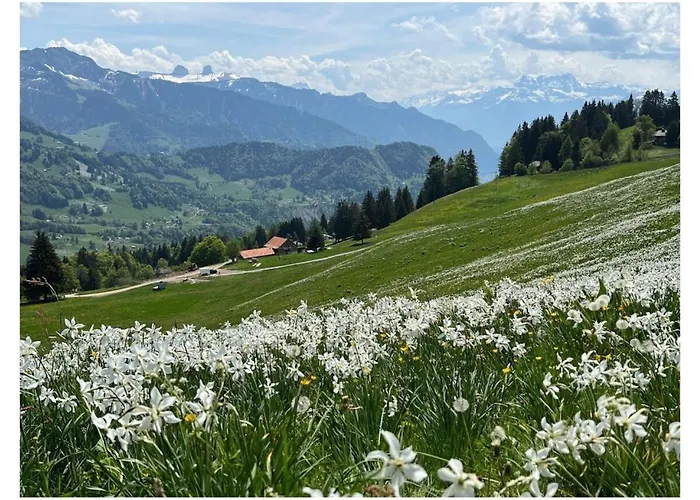 La Vigneronne, Tuin Dom wakacyjny *