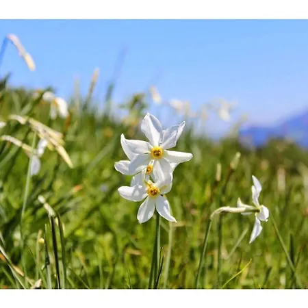 La Vigneronne, Tuin בית נופש
