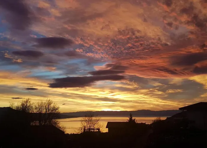 La Vigneronne, Tuin *