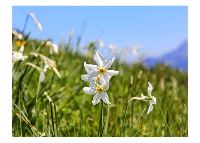 La Vigneronne, Tuin Hébergement de vacances